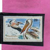 RWANDA 1975 WATER BIRD WHITE PELICAN - UCCELLI ACQUATICI PELLICANO BIANCO MNH - Neufs