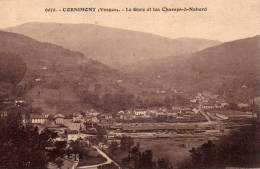 CORNIMONT : (88) La Gare Et Les Champs-à-Nabord - Cornimont