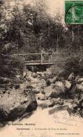 CORNIMONT : (88) La Passerelle Du Trou Du Goufre - Cornimont