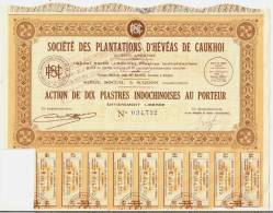 SOCIETE DES PLANTATIONS D'HEVEAS DE CAUKHOI - Asia