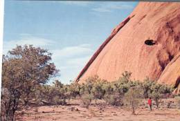 (010) Northern Territory -  Uluru Or Ayers Rock - Kangaroo Tail - Uluru & The Olgas