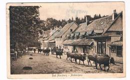 D2998     BAD HARZBURG : Molkenhaus - Bad Harzburg