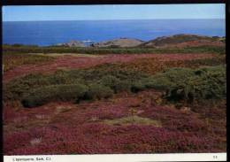 Cpm  Sark  C.I.  L' Eperquerie Sark      PLOZ14 - Sark