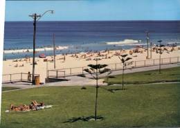 (891) Australia - Western Australia - Perth Scarborough Beach - Perth