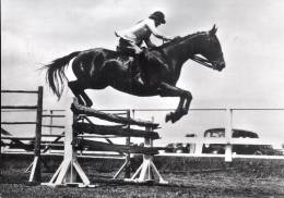 J50 /   CPSM 1960 CHEVAL / SPORT  / LE JUMPING - Horse Show