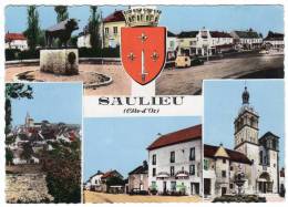 21- SAULIEU- Multivues,blason -Cpsm 1963 - Saulieu