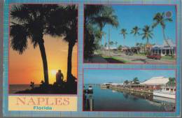 Used Picture Postcard, Naples Florida  As Per Scan - Naples