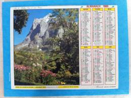 Calendrier Grand Format MONTAGNE EN ETE CHAMOIS - Grand Format : 1981-90