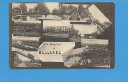 BELLEVUE : Un Bonjour - Bellevue