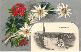 Schweiz Suisse:  AMRISWIL  (um 1910) Farb-Prägedruck, RS Beschrieben, Aber Nicht Gestempelt / écrit, Mais Sans Timbre - Amriswil