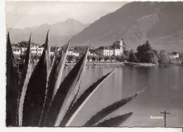 BR17262 Ascona 2 Scans - Ascona