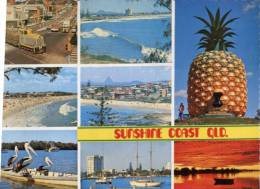 (536) Australia - QLD - Sunshine Coast - Big Pinneaple - Cane Train Etc - Andere & Zonder Classificatie