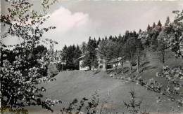 BOEGE   CHALET ST JOSEPH    ERMITAGE DES VOIRONS - Boëge