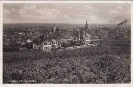 Grünstadt A.d.Weinstr. - Grünstadt