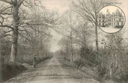 CIRCUIT DE LA SARTHE 1906 , AUTOMOBILE ,  N°14 , Traversée De La Forêt De VIBRAYE - Vibraye