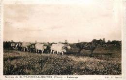 LABOURAGE AUX ENVIRONS DE SAINT-PIERRE-LE-MOUTIER ATTELAGE AGRICULTURE 58 NIEVRE - Saint Pierre Le Moutier