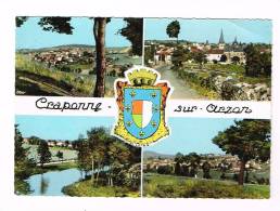 CRAPONNE-SUR-ARZON  ( Haute Loire )   Vues... Multi-Vues... - Craponne Sur Arzon