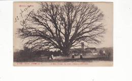Carte 1909 LE GROS CHENE , Au Fond L'abbaye D'Etival (arbre) - Etival Clairefontaine
