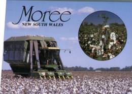 (849) Australia - NSW - Moree Farming Tractor In Cotton Field - Andere & Zonder Classificatie