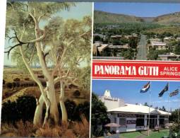 (750) Australia - NT - Alice Springs Panorama Guth - Alice Springs