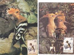 BIRD,HOOPOE,TIMBER ON DIFRENT PAPER,CM,CARTE MAXIM,MAXIM CARD,1995,ROMANIA - Pics & Grimpeurs