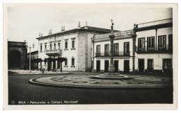 BEJA - CRUZEIROS E PELOURINHOS - Pelourinho E Câmara Municipal (Ed. Pap. Correia, Nº 13) Carte Postale - Beja