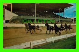 CHARLOTTETOWN, PEI - HORSES RACE TRACK, OLD HOME WEEK IN AUGUST - ISLAND WHOLESALE - - Charlottetown