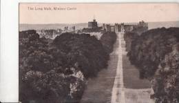 Br33930  Windsor Castle The Long Walk 2 Scans - Windsor Castle