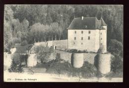 CPA Non écrite VALANGIN  Le Château - Valangin