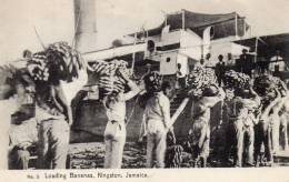 Loading Bananas KIngston Jamaica BWI 1905 Postcard - Giamaica