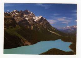 Carte Postale CANADIAN ROCKIES Looking North Along ROCKY MOUNTAIN Trench Above Bow Summit PEYTO LAKE GLACIER ROCHEUSES - Other & Unclassified