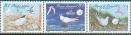 Nouvelle Calédonie / New Caledonia 2009 - Sternes Menacés / Threatened Terns - MNH - Mouettes