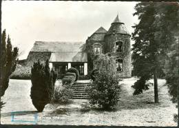 Belgique CP Daverdisse : Le Vieux Château - Daverdisse