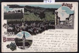 Gruss Aus Berneck ( Bernegg ) - Vue De La Ville -; Ruine Rosenburg  - Kirche - Neugasse ; Circulée En 1902 (-249) - Berneck