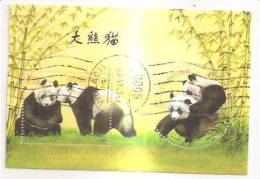 60466) 2003 - Austria Foglietto Usato Raffiguranti I Panda - Gebruikt