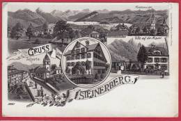 STEINERBERG, LITHO 1897/1905 - Steinerberg