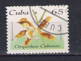 Cuba   1995  Mi Nr 3863  Orchid (a3p21) - Usati