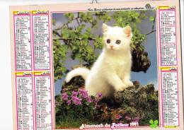 Almanach Du Facteur 1991, Chat Blanc, Chiens Yorkshires, Quimper (29), Grindelwald (Suisse), Imprimeur OLLER - Big : 1991-00