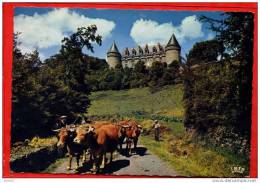 * Le Château De Rochechouart-1961(Personn Ages,boeufs) - Rochechouart