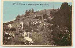 DEP 39 ORGELET TROUPEAU DE VACHES A NOTRE DAME DU MONT ORGIER - Orgelet