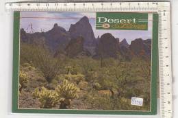 PO5593B# ARIZONA - DESERT IN BLOOM  VG 1993 - Tempe