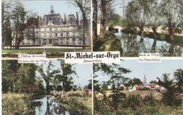 2 C  -  ST-MICHEL-SUR-ORGE  -  Château De Lormoy - Bords De L'Orge - Un Beau Coin De L'Orge - Vue Panoramique - Saint Michel Sur Orge