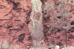 Hidden Gorge, Flinders Ranges, SA - Mossel A9 Unused - Sonstige & Ohne Zuordnung