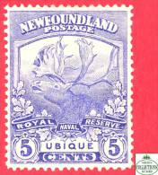 Canada  Newfoundland # 119 Scott /Unisafe - Mint - 5 Cents - Trail Of Caribou - Dated 1919 / Caribou - 1908-1947