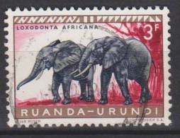 Ruanda-Urundi N° 212 ° - Faune Du Ruanda - 1959 - Used Stamps