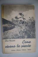 PEX/19 L.Vaccari COME VIVONO LE PIANTE Ed.Libraria It.1943/BOTANICA - Garten