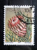 South Africa - 1977 - Mi.nr.521 A - Used - Plants - Protea Aristata - Definitives - Gebraucht