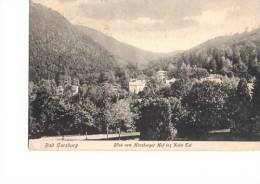 Litho Bad Harzburg Blick Vom Harzburger Hof Ins Kalte Tal Sw 7.7.1914 Zugstempel - Bad Harzburg