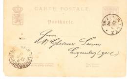 LUXEMBOURG POSTCARD ENTIER De WILTZ Du 12 8 1884 Via Luxembourg Gare - 1882 Allégorie