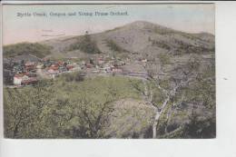 USA - OREGON - MYRTLE CREEK And Young Prune Orchard 1919 - Altri & Non Classificati